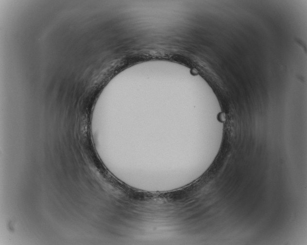 X0000103960593200809191336