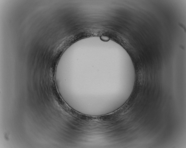 X0000103960594200809191336