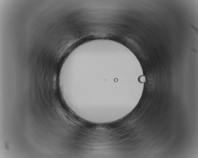 X0000103960596200809191336