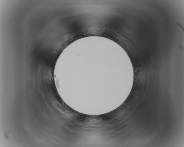 X0000103960597200809191336
