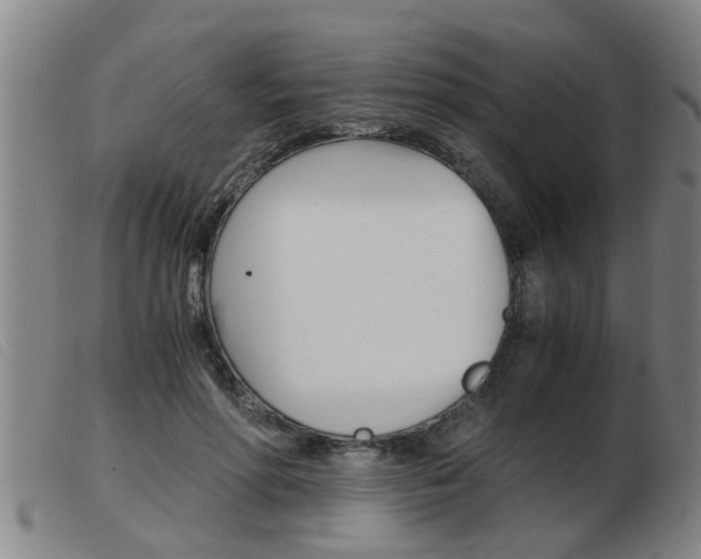 X0000103960598200809191336