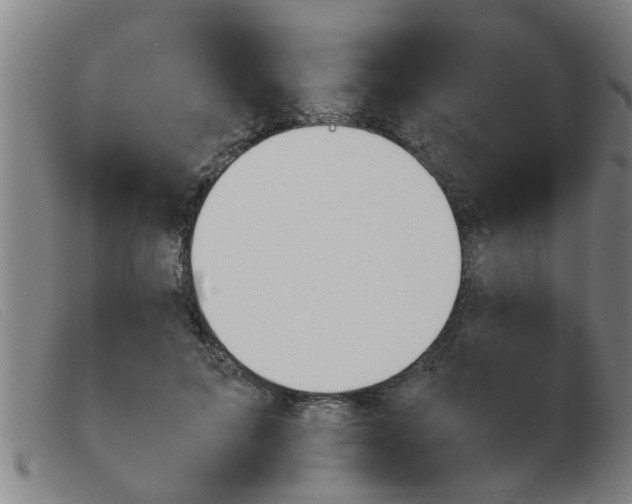 X0000103960599200809191336