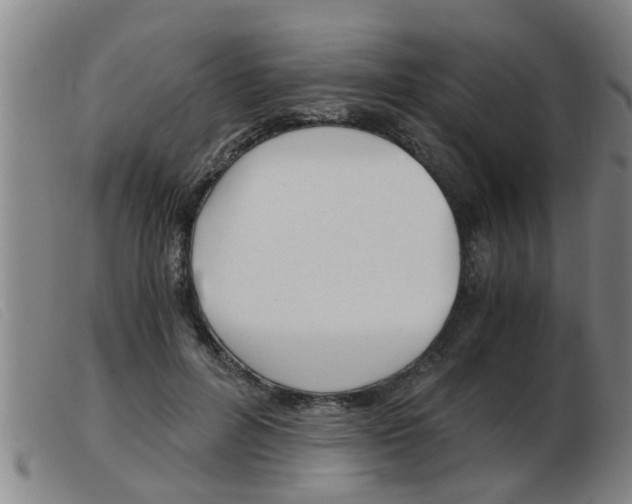 X0000103960600200809191336