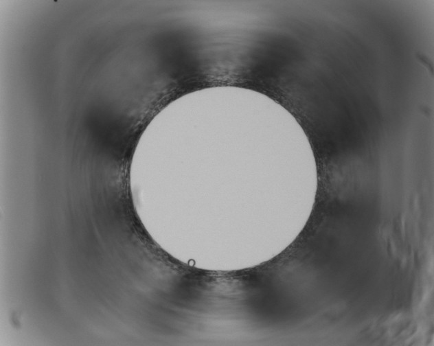 X0000103960601200809191336