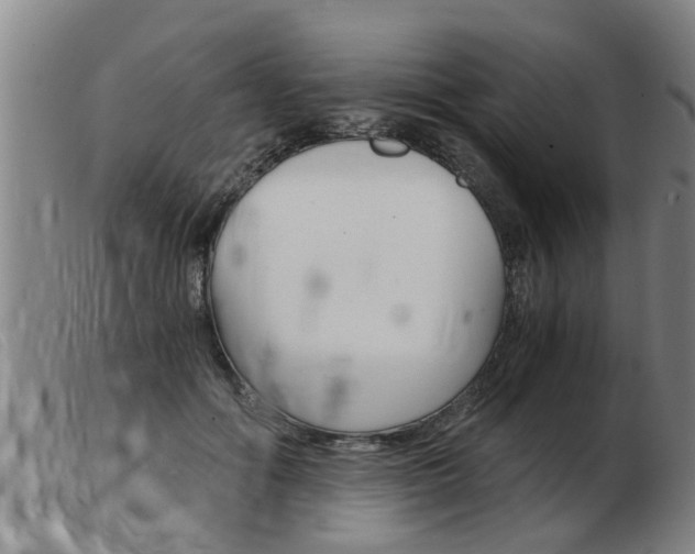 X0000103960602200809191336