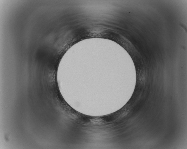 X0000103960603200809191336