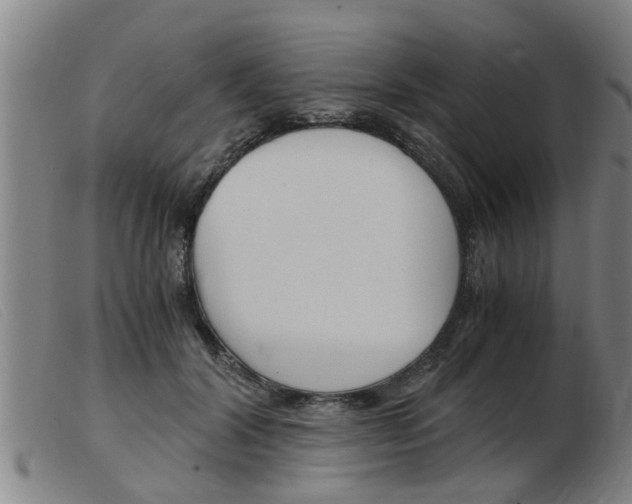 X0000103960604200809191336