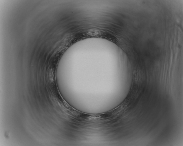 X0000103960606200809191336