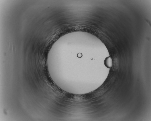 X0000103960608200809191336