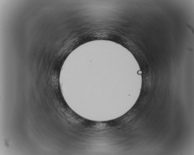 X0000103960609200809191336