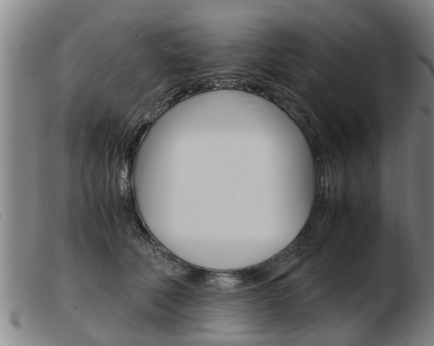 X0000103960610200809191336