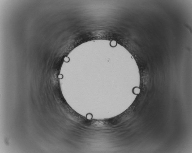 X0000103960611200809191336