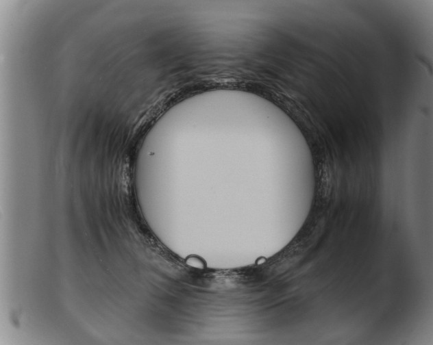 X0000103960612200809191336