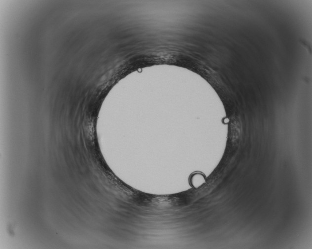 X0000103960613200809191336
