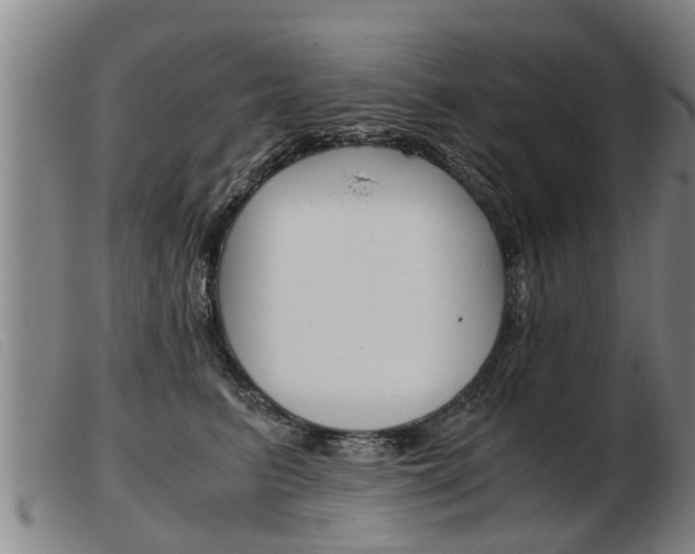 X0000103960615200809191336