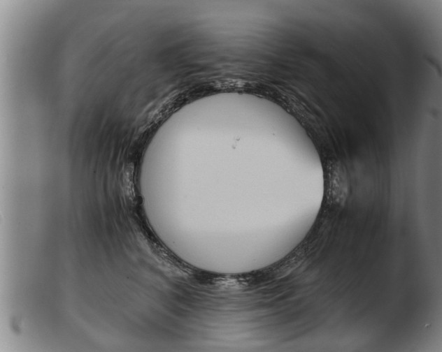 X0000103960616200809191336