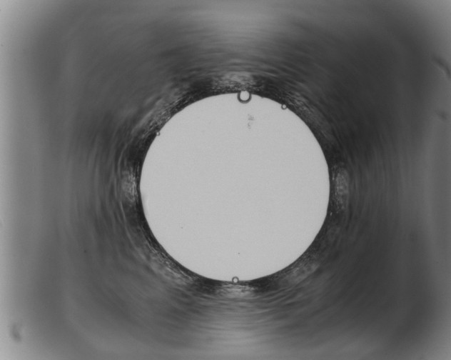 X0000103960617200809191336