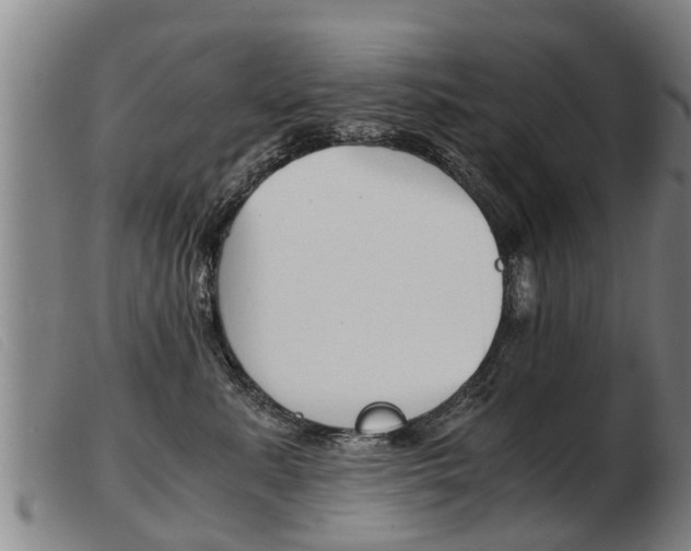 X0000103960619200809191336