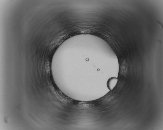 X0000103960620200809191336