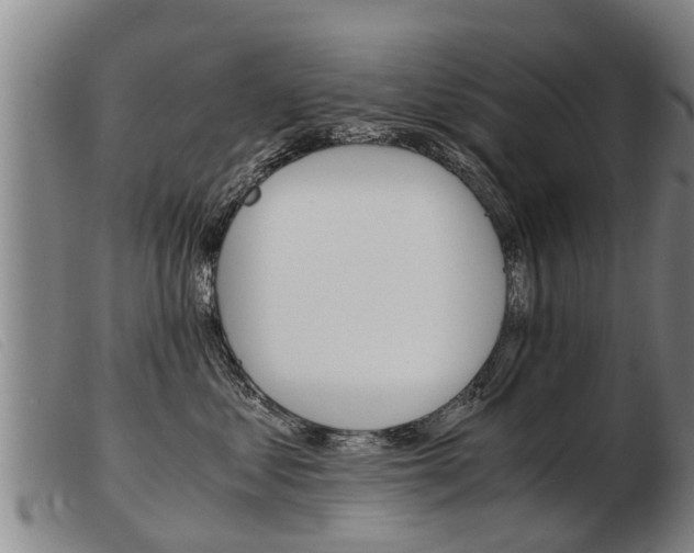 X0000103960621200809191336