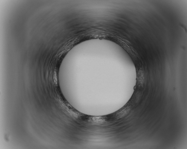 X0000103960622200809191336