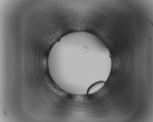 X0000103960623200809191336
