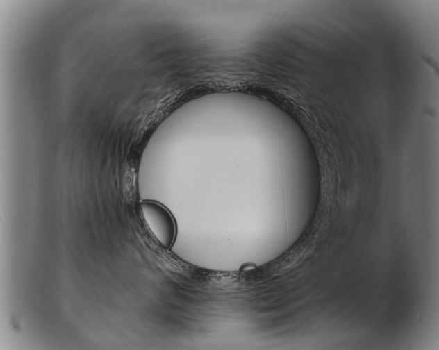 X0000103960624200809191336
