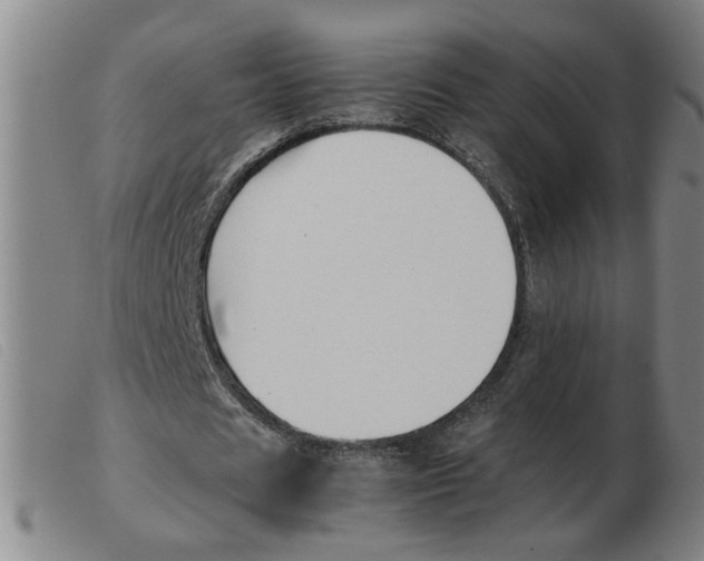 X0000103960625200809191335