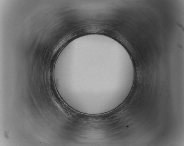 X0000103960626200809191335