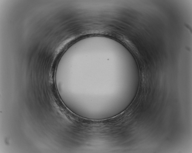 X0000103960628200809191335
