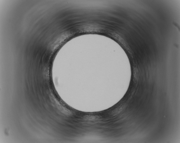 X0000103960629200809191335