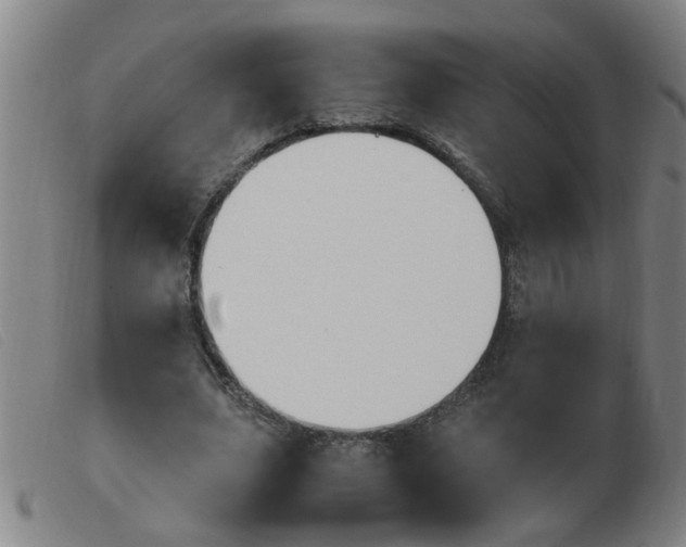 X0000103960631200809191335