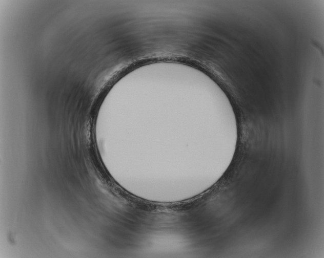 X0000103960632200809191335