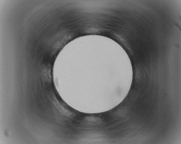 X0000103960633200809191335