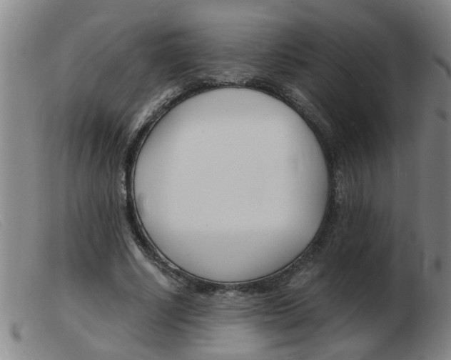 X0000103960634200809191335