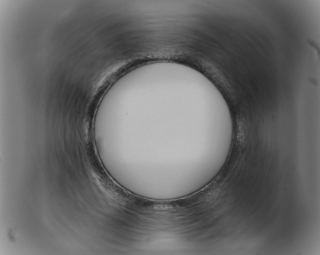 X0000103960636200809191335