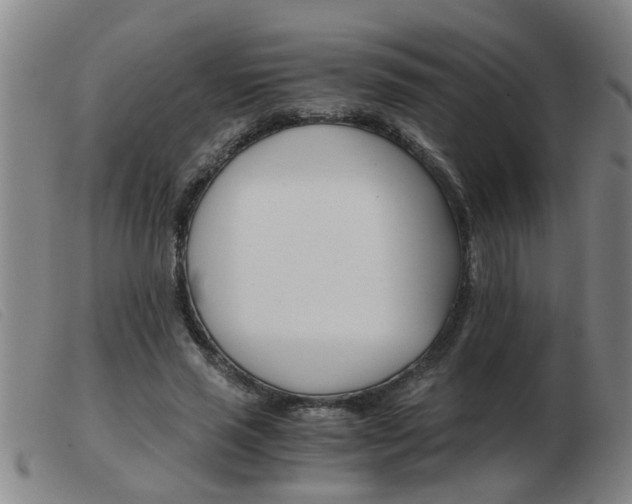 X0000103960637200809191335