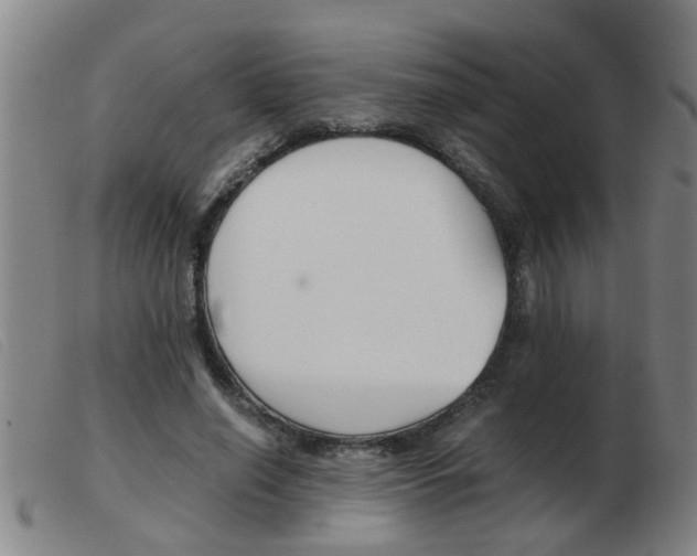 X0000103960638200809191335