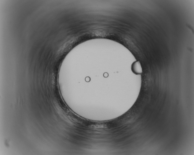 X0000103960639200809191335