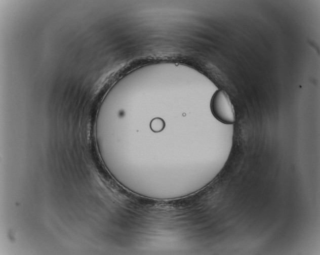 X0000103960640200809191335