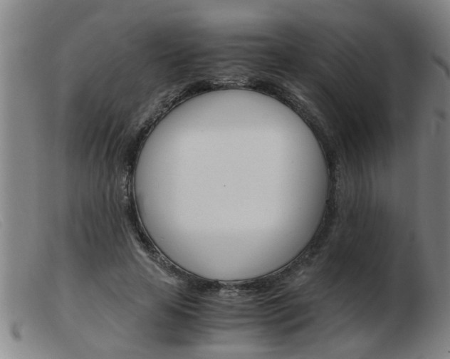 X0000103960641200809191335