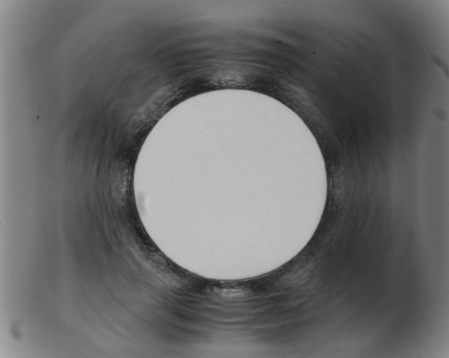 X0000103960645200809191335