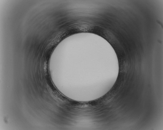X0000103960646200809191335