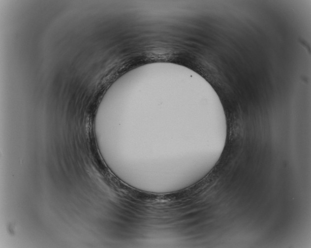 X0000103960647200809191335