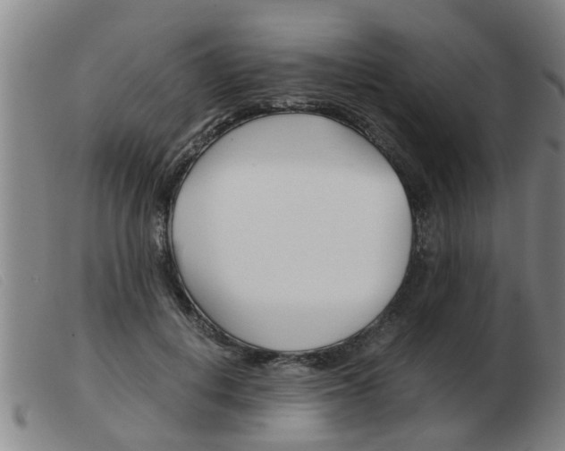 X0000103960648200809191335