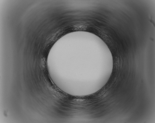 X0000103960649200809191335