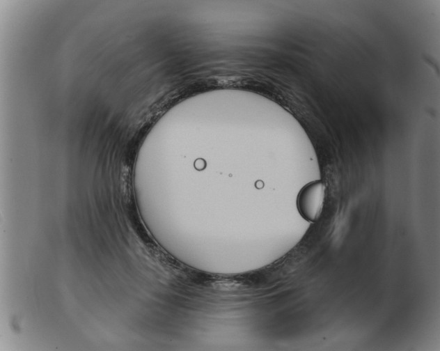 X0000103960650200809191335