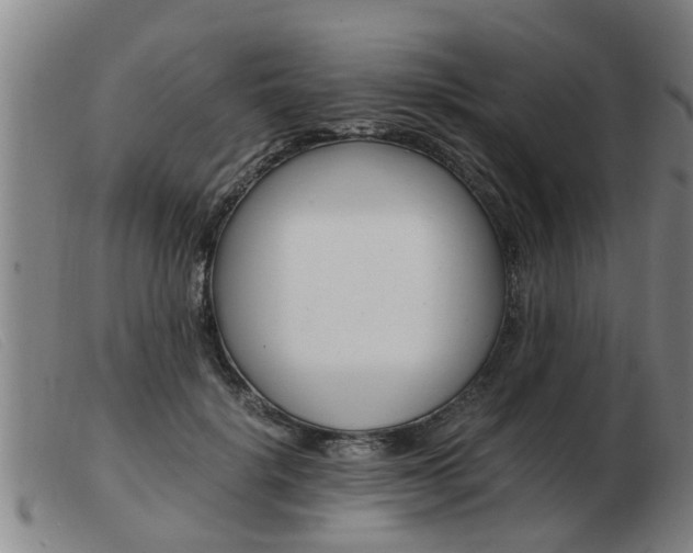 X0000103960652200809191335