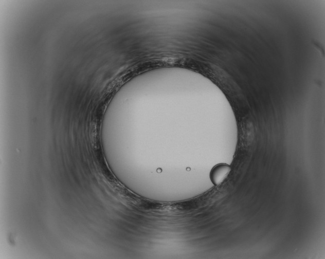 X0000103960656200809191335