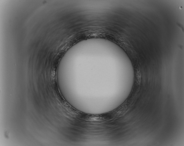 X0000103960657200809191335